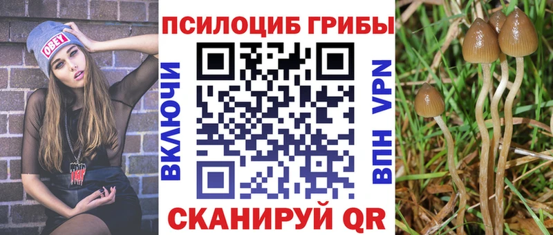 MEGA tor  Навашино  Псилоцибиновые грибы прущие грибы 